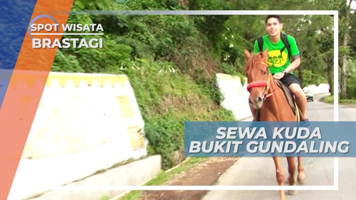 Berkuda di Bukit Gundaling Menikmati Pesona Alam Berastagi