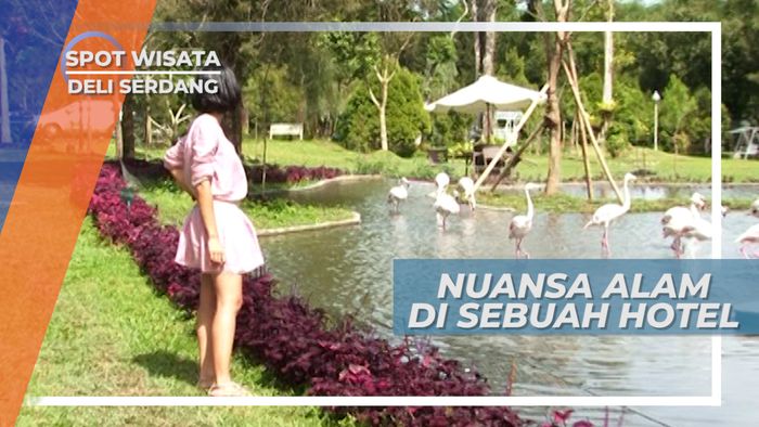 Penginapan dengan Nuansa Alam yang Asri di Deli Serdang Sumatera Utara