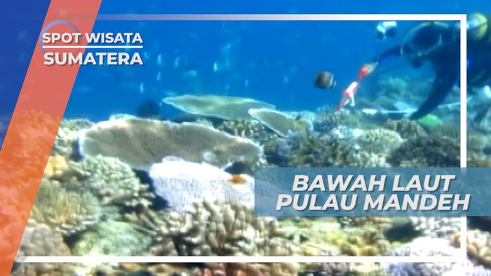 Pulau Mandeh, Paradise Of The South yang Menghipnotis Mata, Sumatera Barat