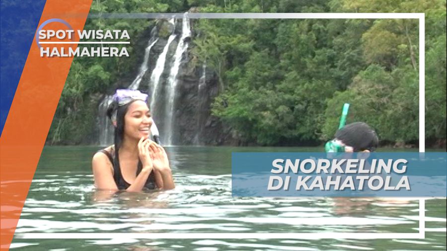 Snorkeling Di Bawah Air Terjun, Pesona Cantik Bawah Laut Kahatola Halmahera