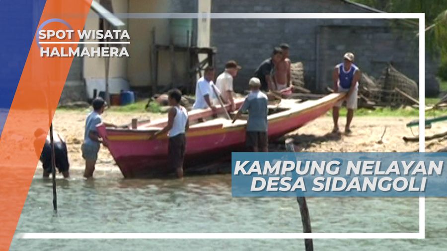 Desa Sidangoli, Kampung Nelayan yang Dikelilingi Pohon Mangrove, Halmahera