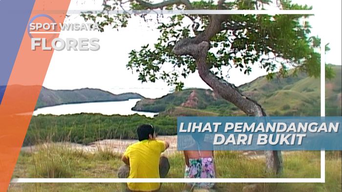 Indahnya Pemandangan Laut yang Terbentang Luas dari atas Bukit, Flores