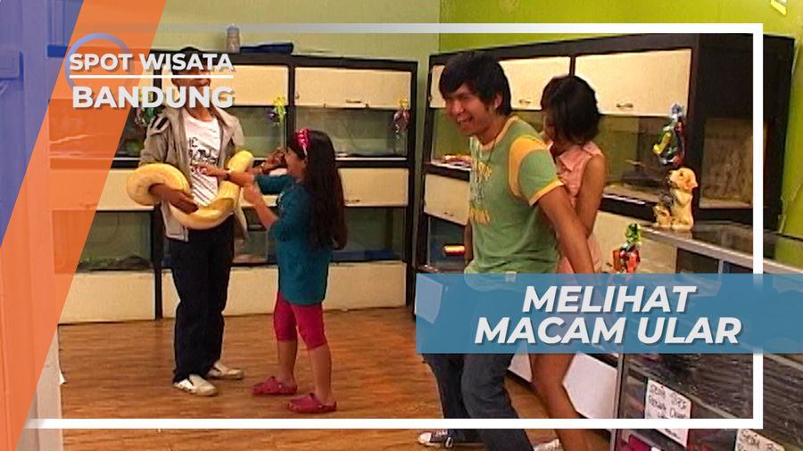 Melihat Aneka Ular, Wisata Satwa Bandung