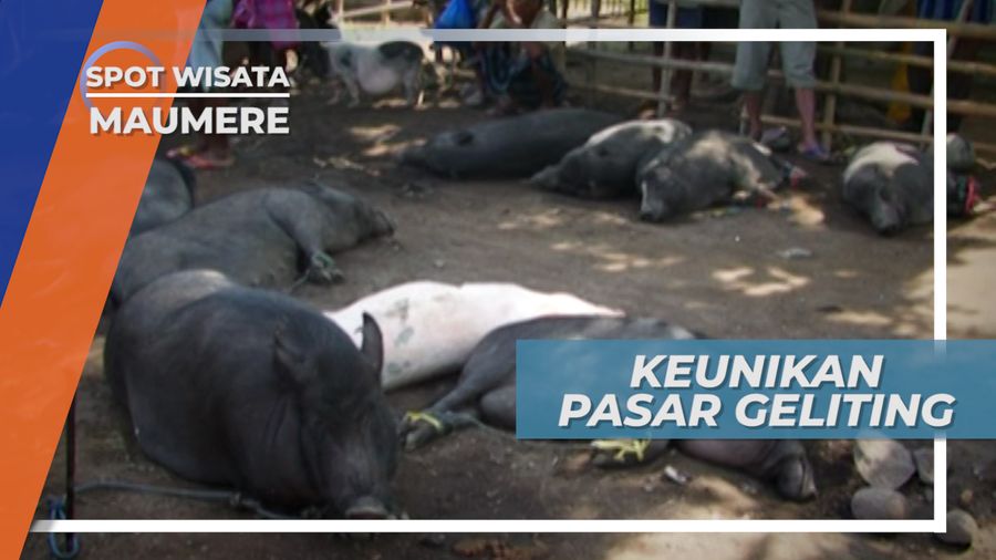 Keunikan Pasar Geliting, Hanya Buka Setiap Hari Jumat, Flores