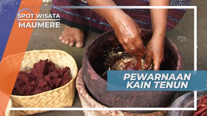 Pewarnaan Alami Kain Tenun Desa Sikka, Keindahan Warna dan Corak Khas Flores