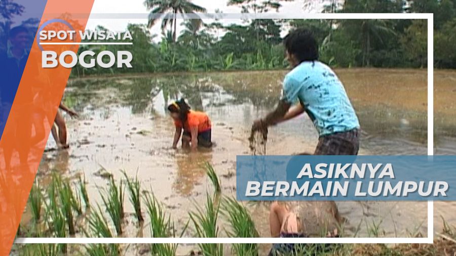 Perang Lumpur, Seru Asyik Bermain Di Persawahan Bogor Jawa Barat