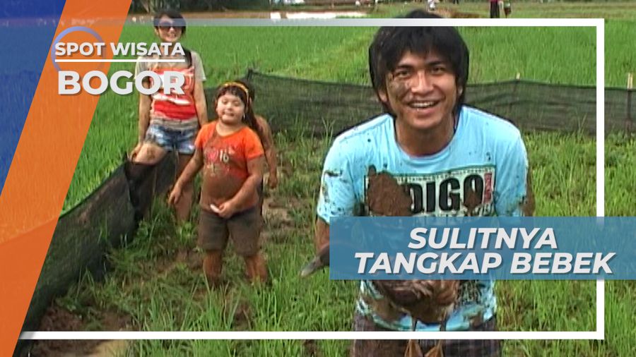 Lomba Tangkap Bebek Sawah Bogor, Yang Menangkap Malah Takut Sama Bebeknya