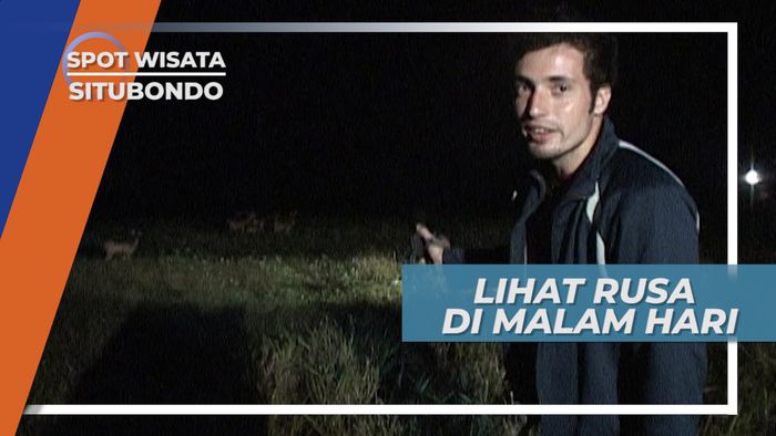 Melihat Aktivitas Rusa di Malam Hari, Situbondo