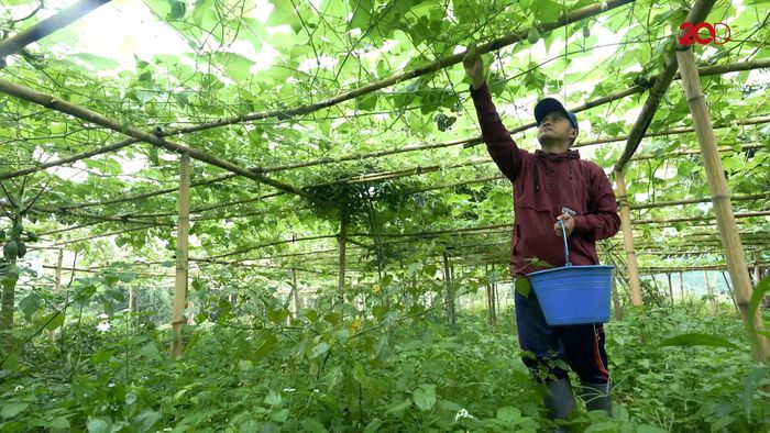 Dede Koswara, Petani Yang Menepis Stigma Millenial