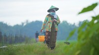 Jamu Kiringan Warisan Leluhur yang Tingkatkan Ekonomi Bantul