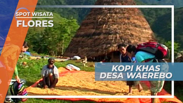 Kopi, Hasil Bumi Desa Wae Rebo yang Terkenal Hingga Manca Negara, Flores