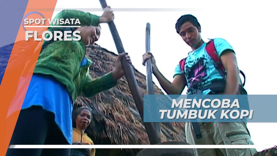 Membantu Warga Desa Wae Rebo, Menumbuk Biji Kopi, Flores