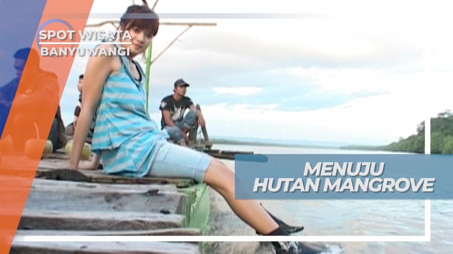 Mengunjungi Hutan Mangrove Blok Bedul, Desa Sumberasri Banyuwangi