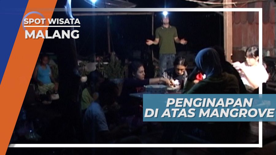 Penginapan Unik di Atas Mangrove, Malang