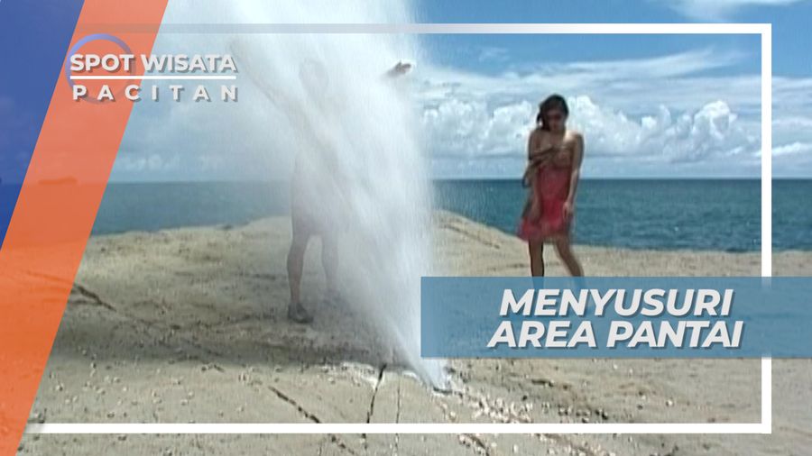 Uniknya Seruling Laut di Pesisir Bumi Pacitan, Jawa Timur