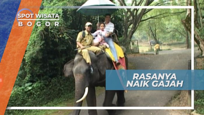 Menunggangi Gajah di Cisarua Jawa Barat