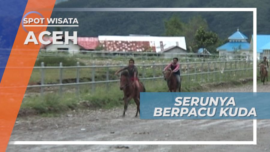 Serunya Berpacu Kuda Takengon, Tradisi yang Lestari di Tanah Gayo