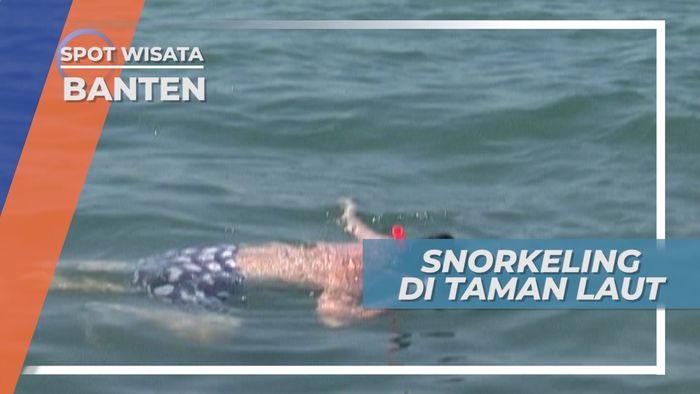 Keindahan Pemandangan Bawah Laut Pantai, Banten