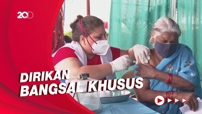 COVID-19 Belum Usai, India Diserang Penyakit Jamur Hitam