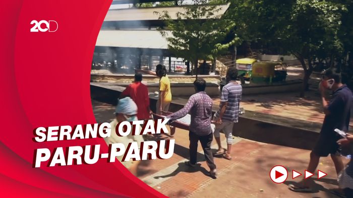 Mengenal Infeksi Jamur Hitam yang Memakan Banyak Korban di India