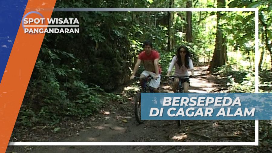  Bersepeda Masuk Hutan di Cagar Alam Pangandaran Jawa Barat