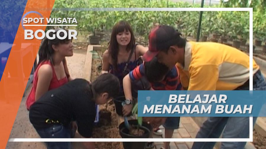 Belajar Menanam Buah di Taman Buah Mekarsari Bogor Jawa Barat
