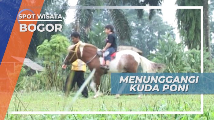 Menunggangi Kuda Poni, di Taman Buah Mekarsari Bogor Jawa Barat