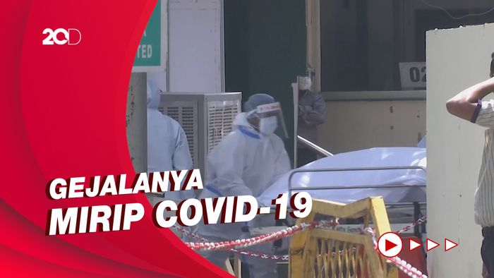 Belum Usai Jamur Hitam, India Diterpa Infeksi Jamur Putih