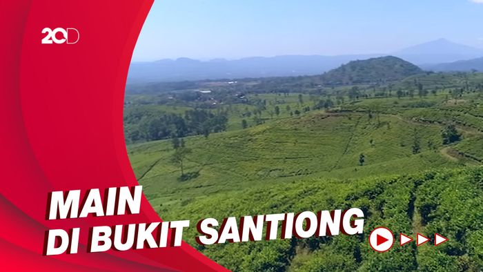 Celebrity on Vacation: Naik Camper Van dan Keliling Kebun Teh  