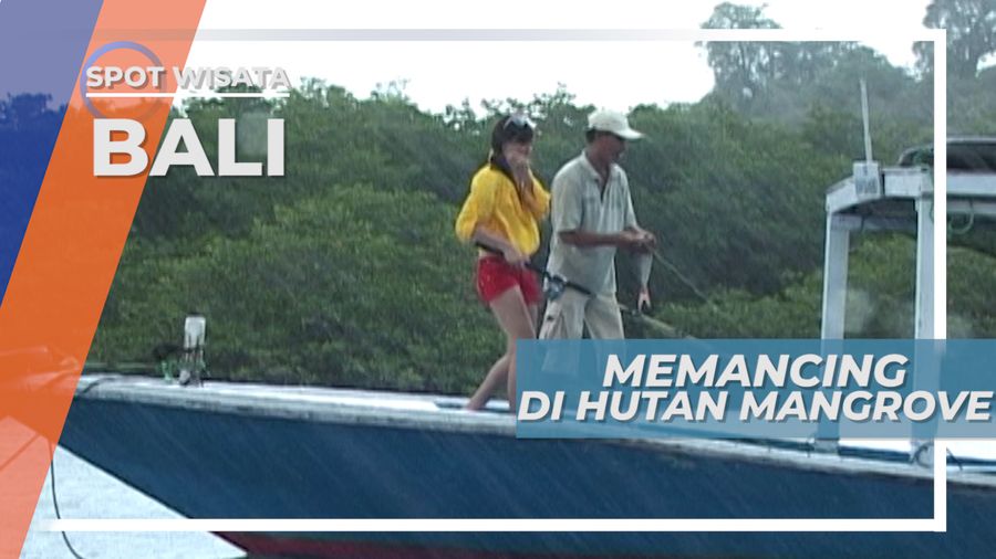 Mancing Ikan di Hutan Mangrove di Bawah Gerimis Hujan, Bali