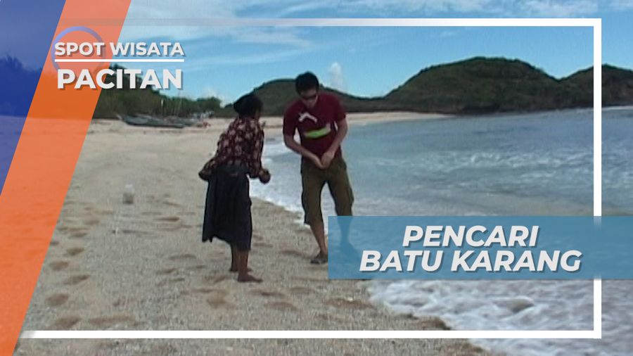 Mencari Batu Karang, Aktivitas Warga di Sekitar Pantai Pasir Putih, Pacitan