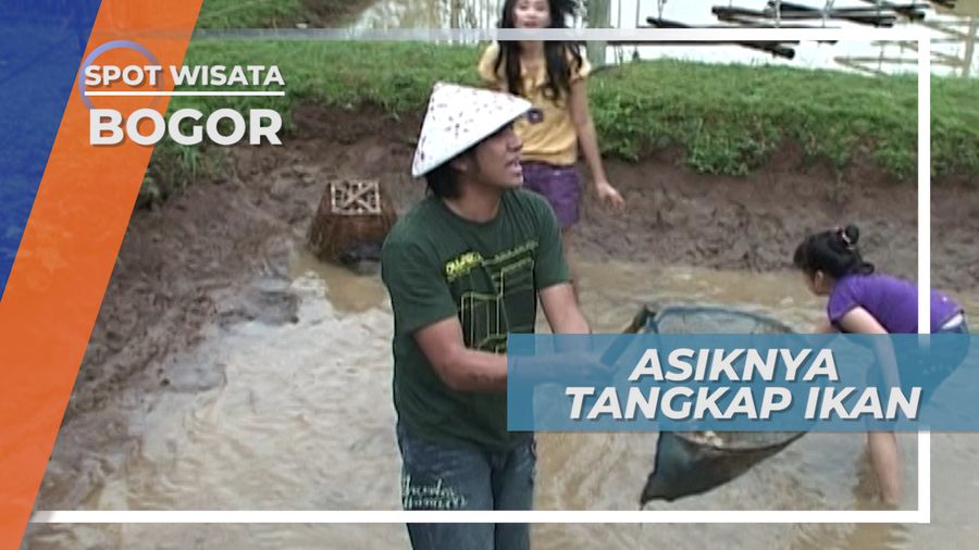 Keseruan Menangkap Ikan Air Tawar di Kolam, Bogor