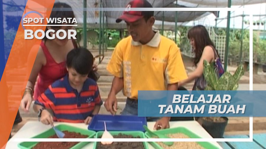 Belajar Menanam Buah Durian di Kawasan Wisata Bogor
