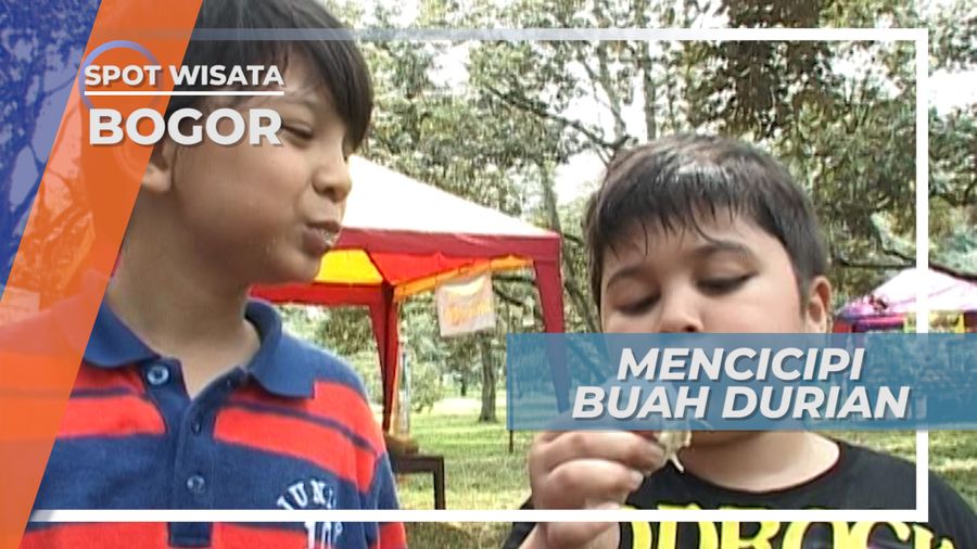 Mencicipi Manis, Legit dan Nikmatnya Buah Durian, Bogor