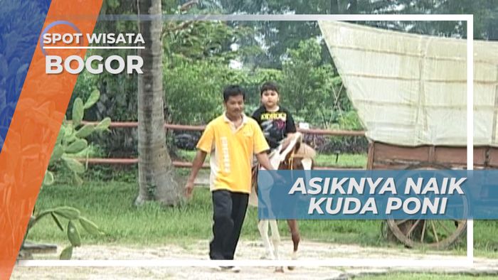 Asiknya Naik Kuda Poni Bogor