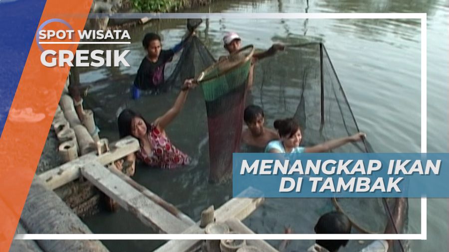Tambak Ikan, Sumbu Kehidupan Desa Mengare, Gresik