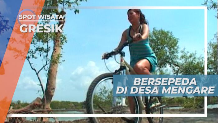 Bersepeda Keliling Pertambakan Desa Mengare Gresik Jawa Timur