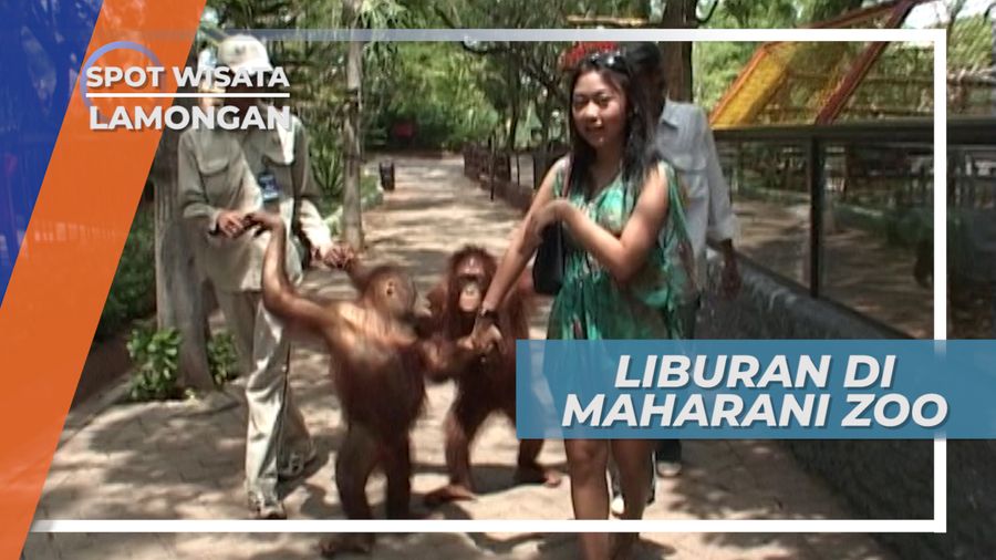 Koleksi Satwa Kebun Binatang di Paciran Lamongan Jawa Timur