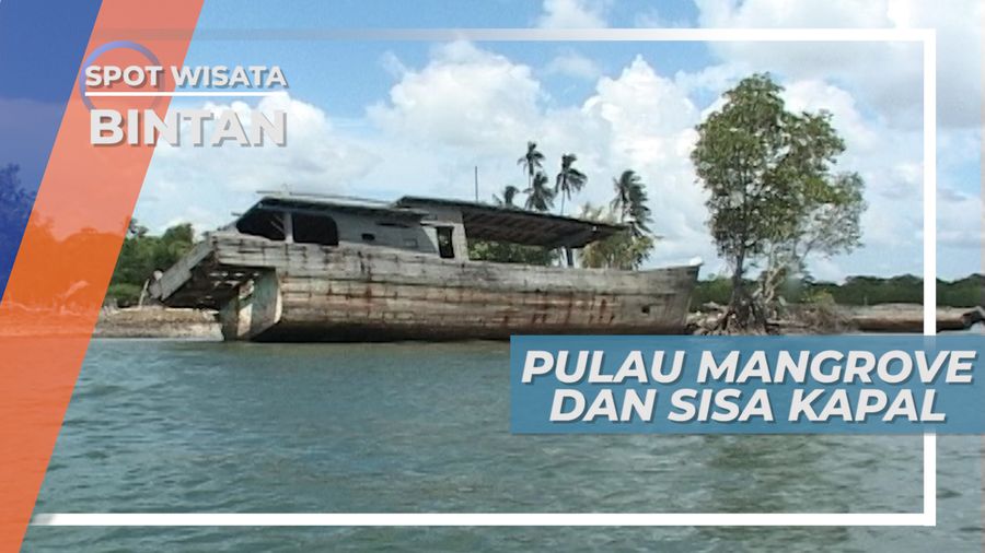 Berkeliling Pulau Mangrove di Desa Nelayan Bintan