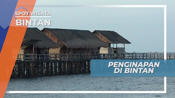 Pemandangan Menenangkan di Penginapan, Bintan