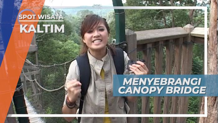 Menjelajah Hutan Lewat Jembatan Canopy Bridge, Kalimantan Timur