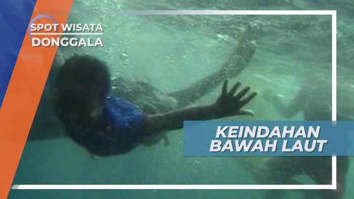 Keindahan Bawah Laut Donggala Sulawesi Tengah