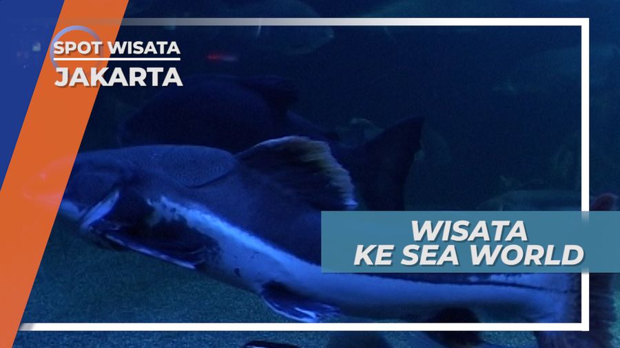 Tamasya ke Sea World Jakarta