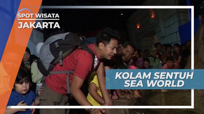 Berinteraksi Langsung Dengan Ikan Menggunakan Kolam Sentuh, Jakarta