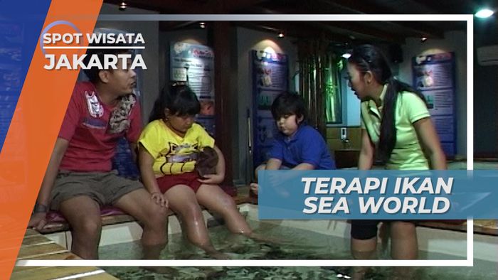 Bersantai Menikmati Terapi Ikan di Sea World Jakarta