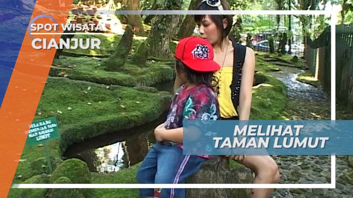 Melihat Taman Lumut di Cianjur Jawa Barat
