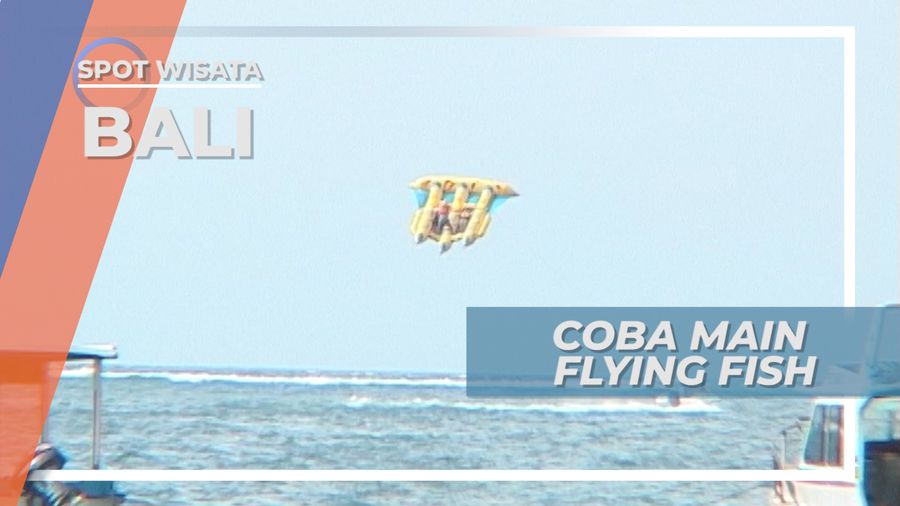 Bermain FLying Fish Di Tanjung Benoa Bali