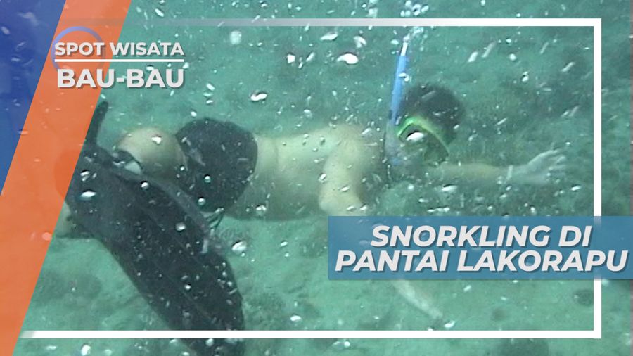 Snorkeling Menikmati Indahnya Bawah Laut Pantai Lakorapu Bau-bau