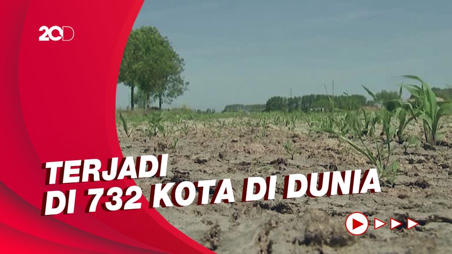 37 Persen Orang di Dunia Meninggal karena Pemanasan Global