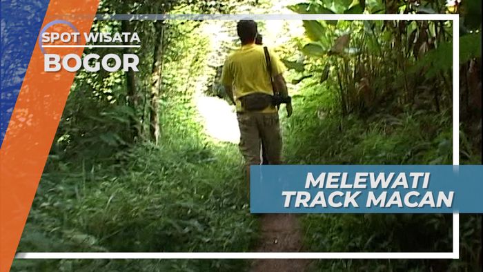 Track Macan, Jalur Lintas Alam Melintasi Kandang Macan Di Cisarua Bogor